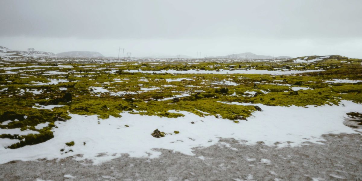 Green moss and snow cover a vast permafrost landscape.