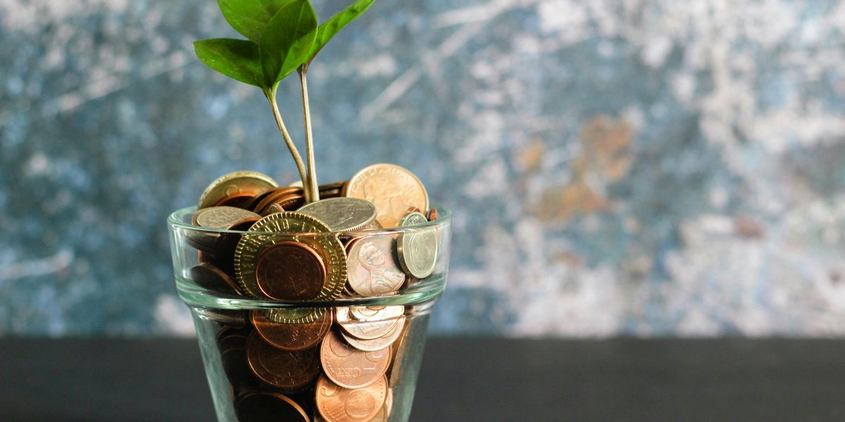 Green plant growing in clear glass jar filled with money.