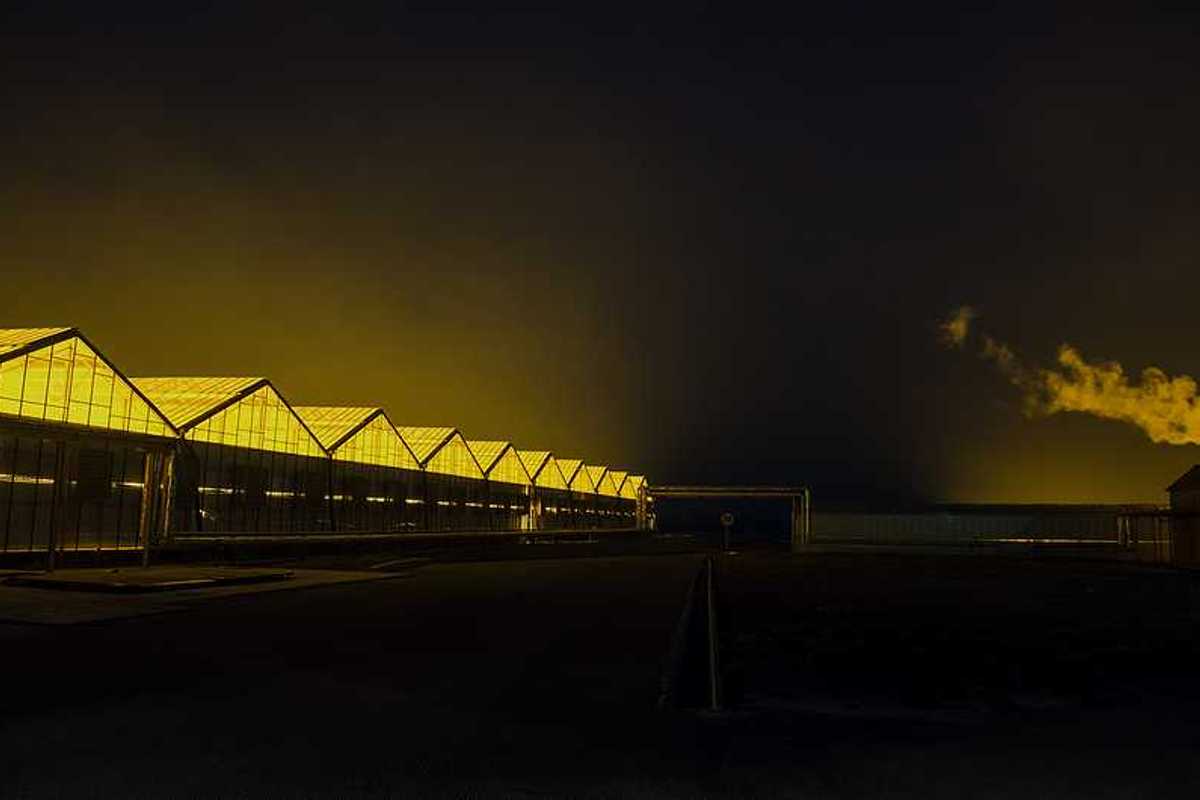 Greenhouses stretching into the distance with interior lights illuminating the night sky