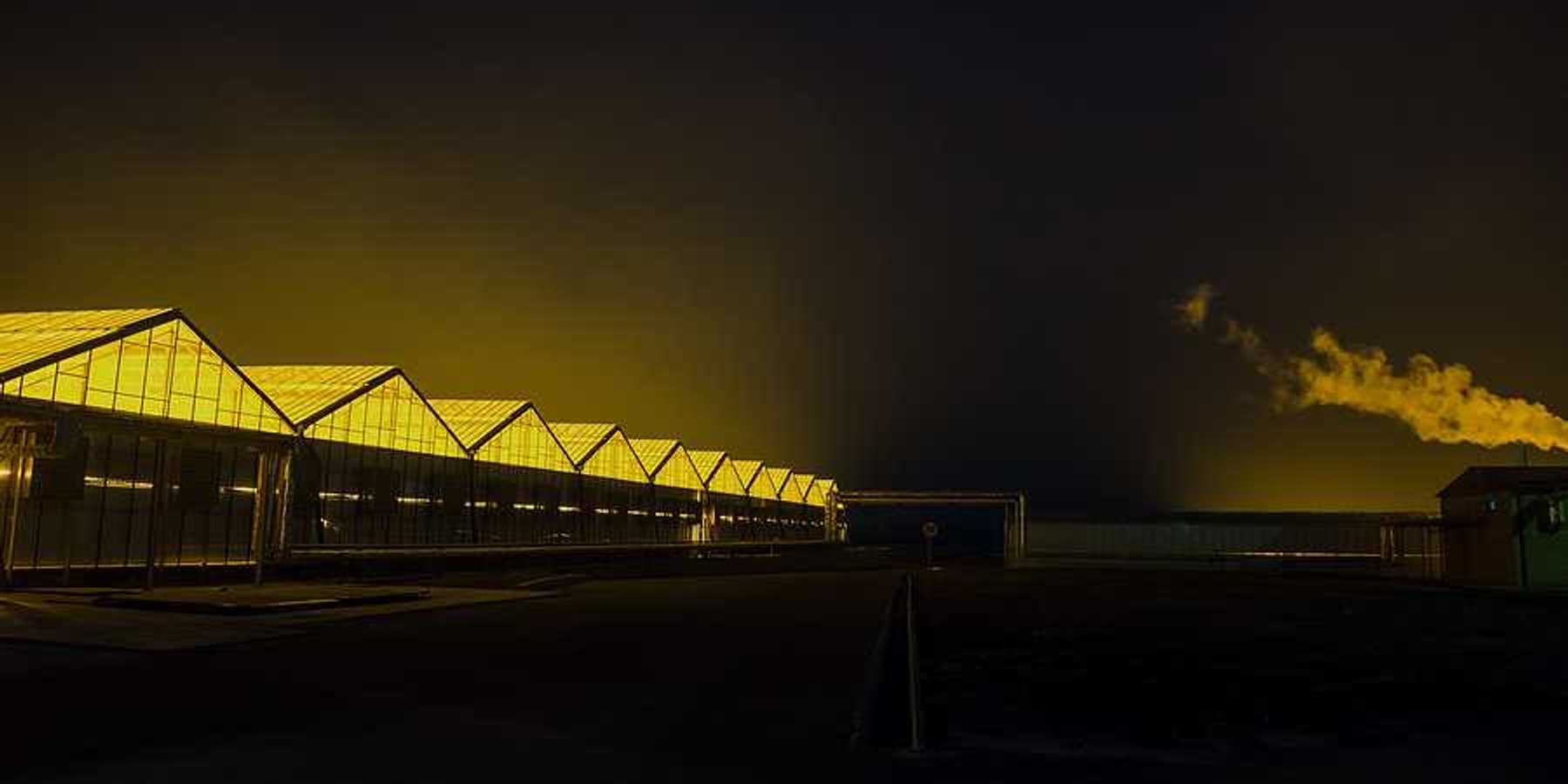 Greenhouses stretching into the distance with interior lights illuminating the night sky