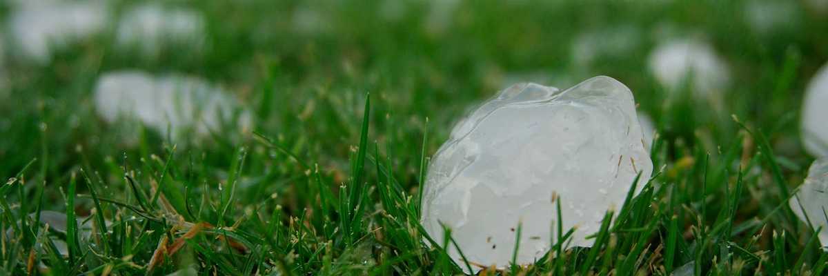 Hail stones on green grass