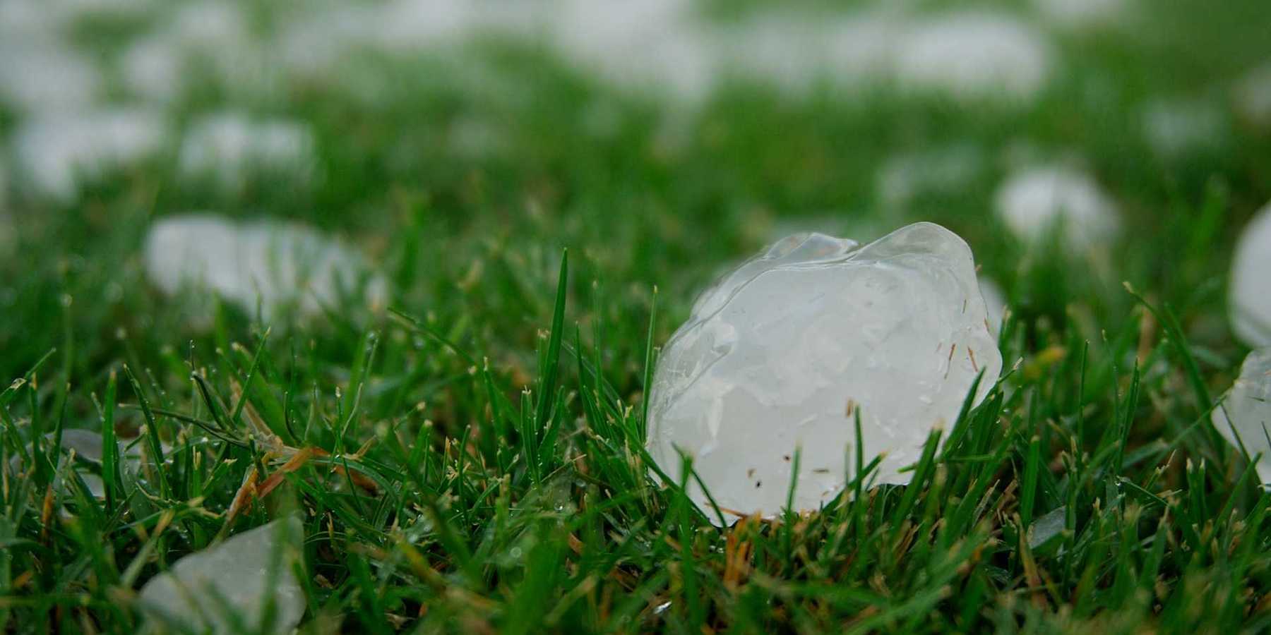Hail stones on green grass