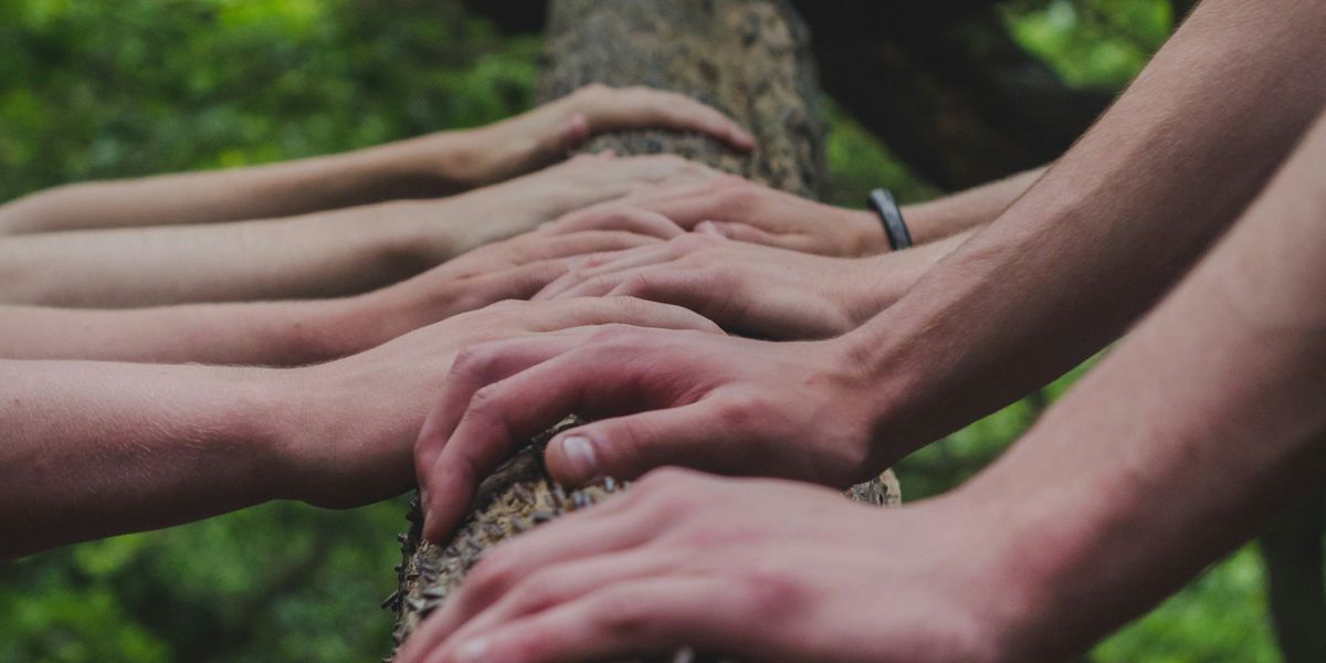 Hands in a row on a tree trunk.