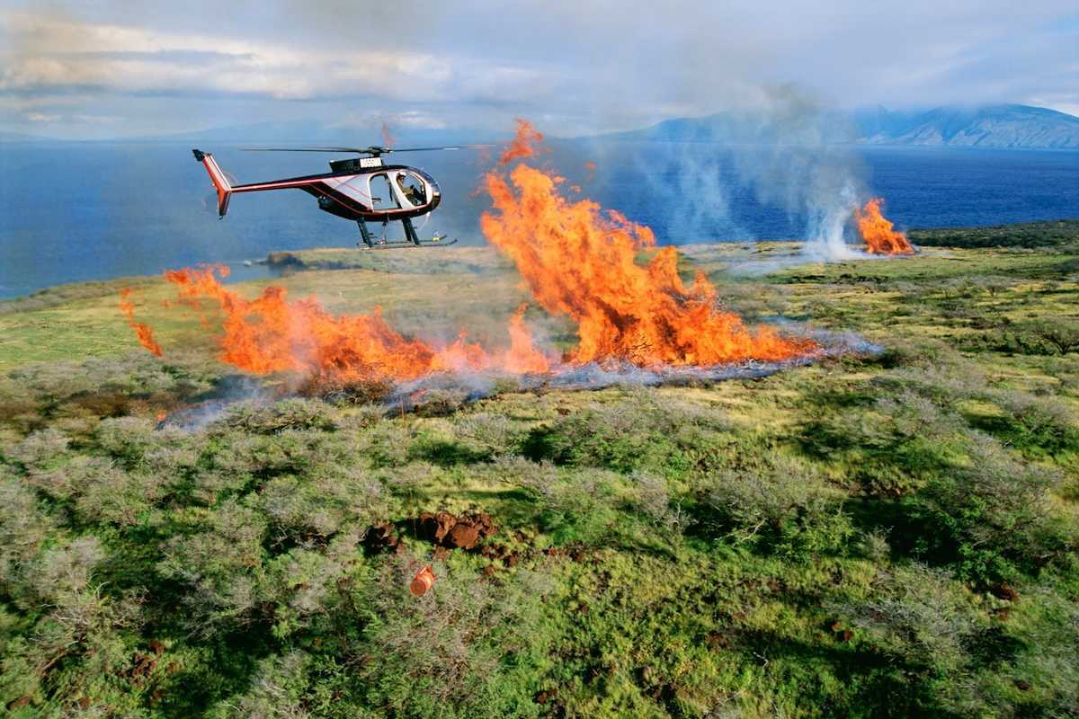 Helicopter flying over a coastal wildfire as flames erupt skyward