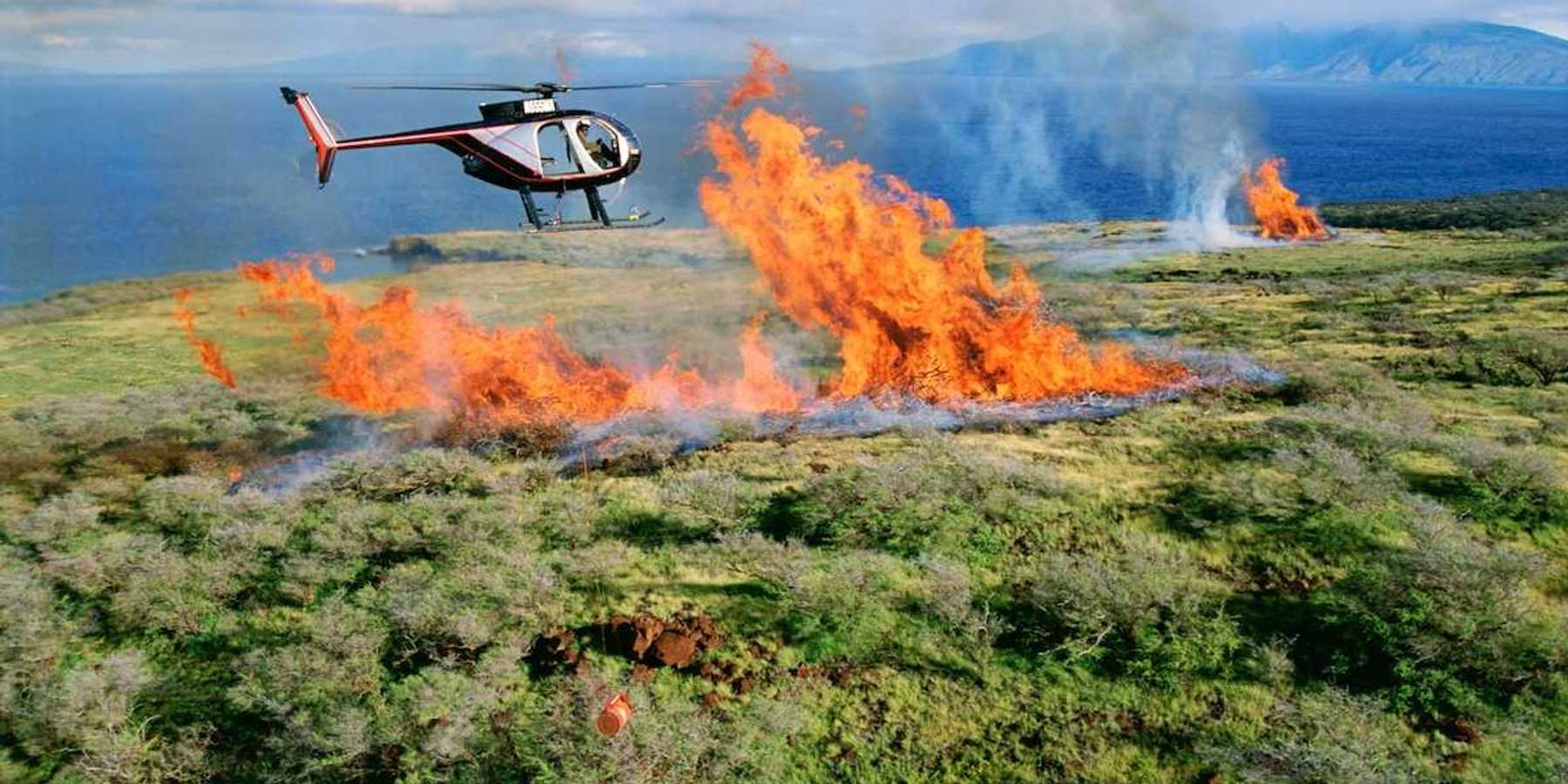 Helicopter flying over a coastal wildfire as flames erupt skyward