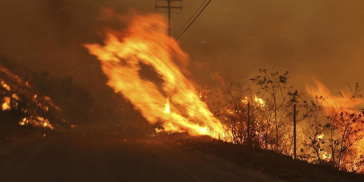 Peter Dykstra: Sunday soundbites from scientists?