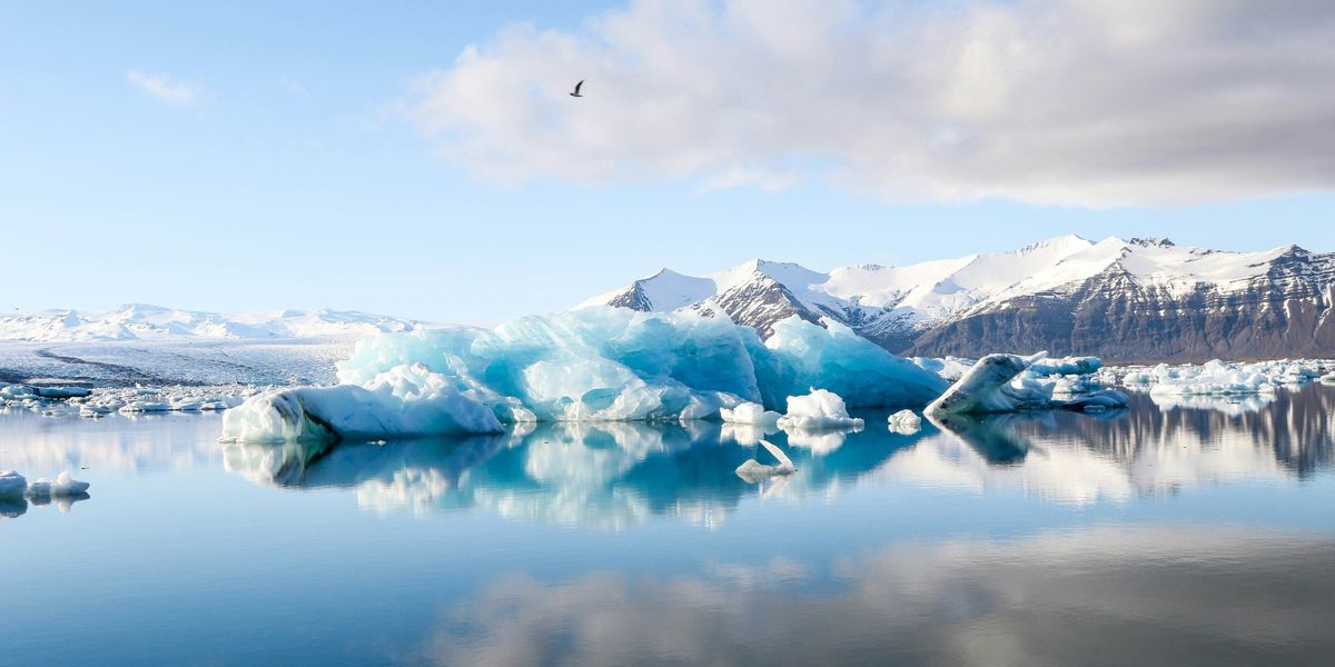 Icebergs and snow covered mountains facing calm body of water.