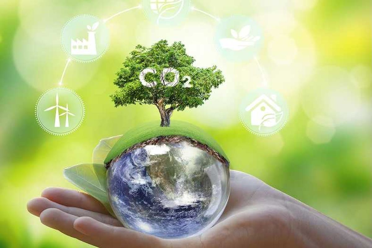 Illustrative concept of earth held in the palm of a hand and sprouting a green tree
