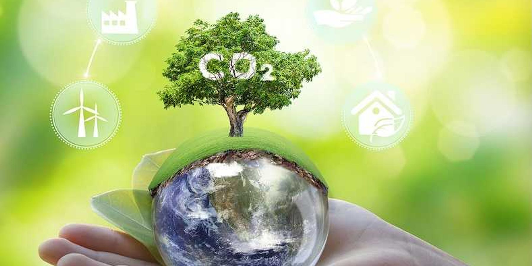 Illustrative concept of earth held in the palm of a hand and sprouting a green tree