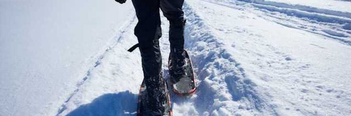 Image of a person snowshoeing in a snowy landscape