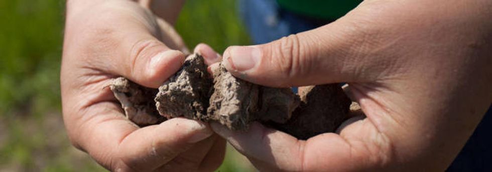 In California, salt taints soil, threatening food security.