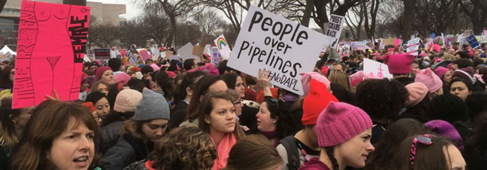 At the Women's March, a call for climate protection, too.