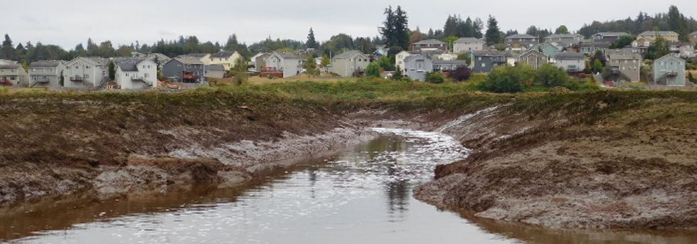 Dwindling salmon and treaty rights in the Puget Sound.
