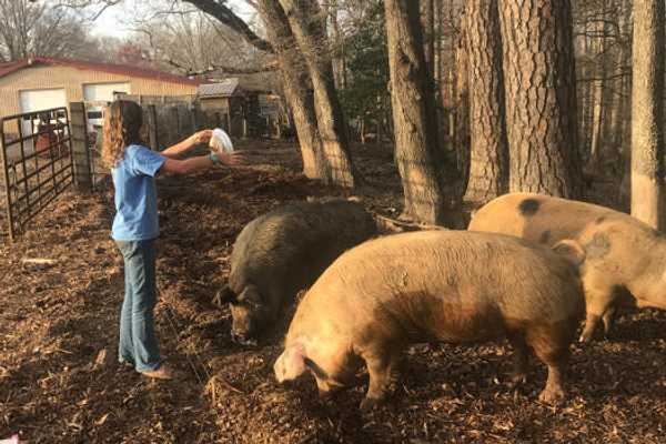 Bringing the “farm” back to hog farming
