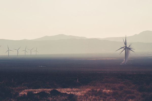 Solar soars: Renewable energy, by the numbers