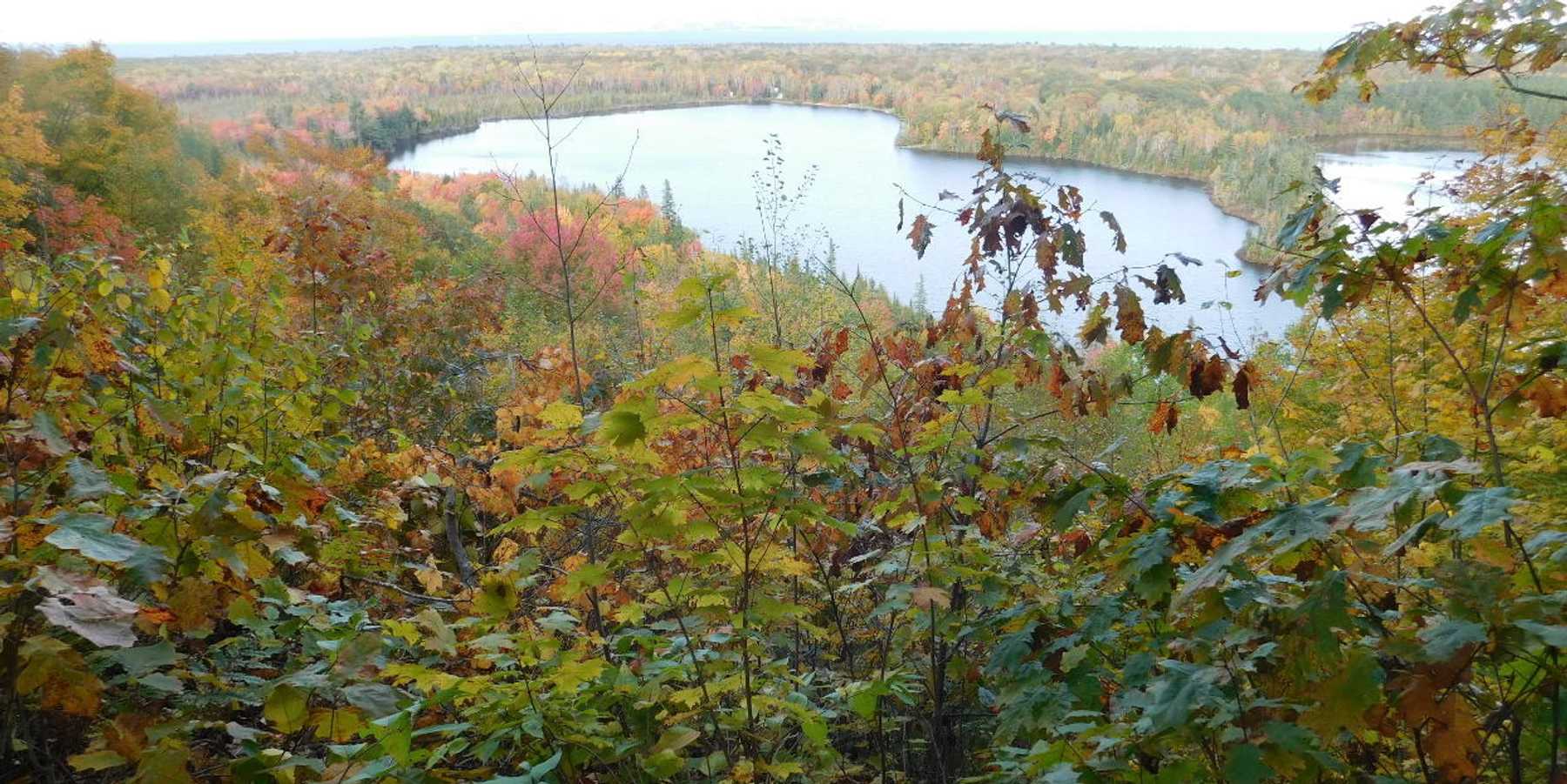 Happy people … happy forests?