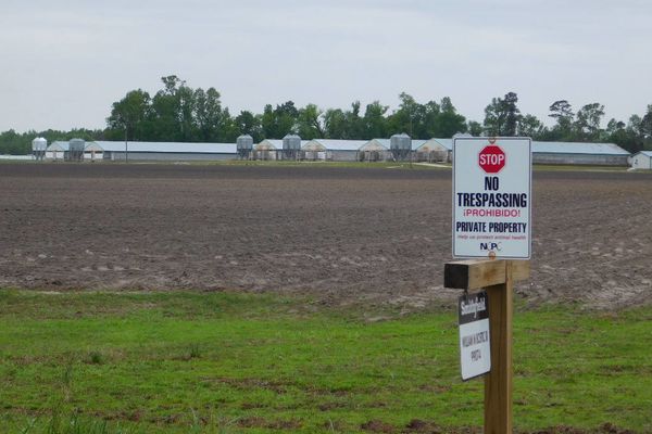 Peter Dykstra: At the courthouse, the smell of defeat and the stench of victory