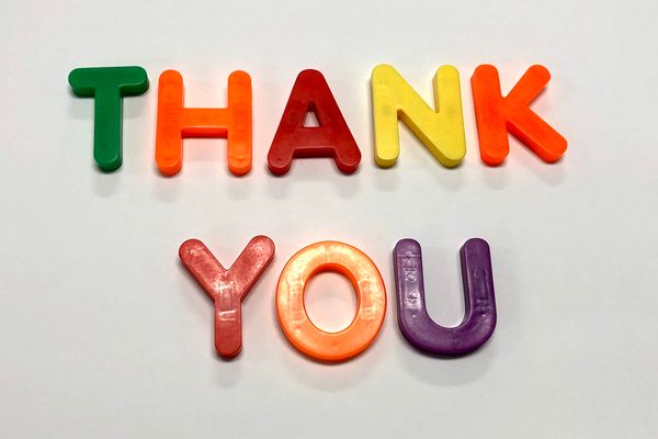 Peter Dykstra: Support your local enemies of the state