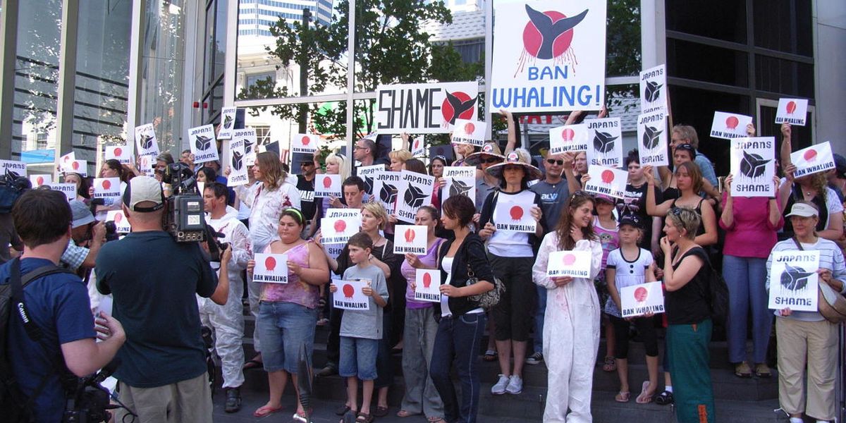 Peter Dykstra: Of whales and men