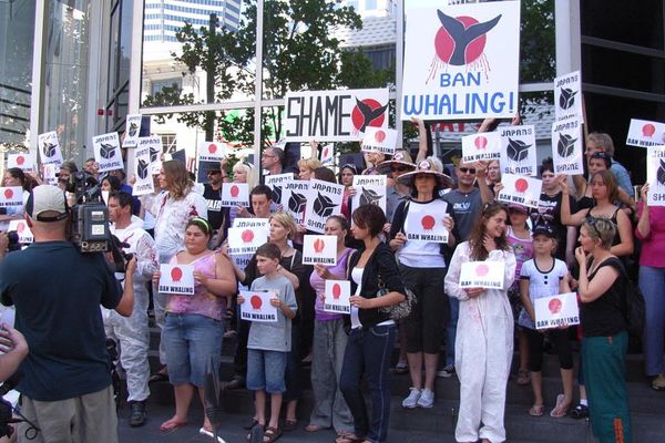 Peter Dykstra: Of whales and men