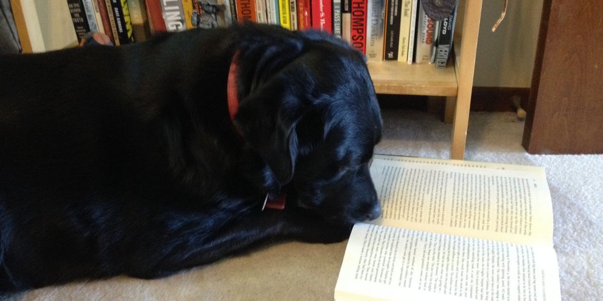 Welcome our hardworking interns — and, hey, whatcha reading?