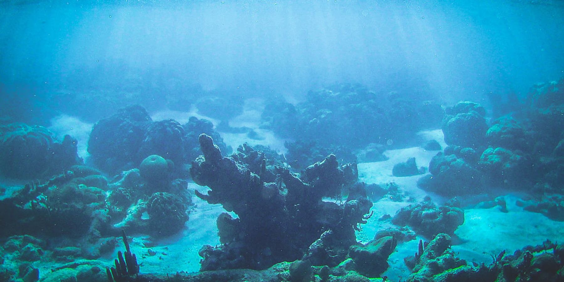 Surprise! Unexpected ocean heat waves are becoming the norm