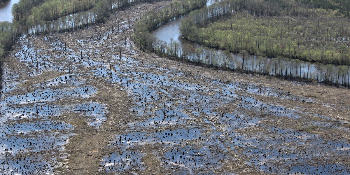 How Europe’s wood pellet appetite worsens environmental racism in the US South