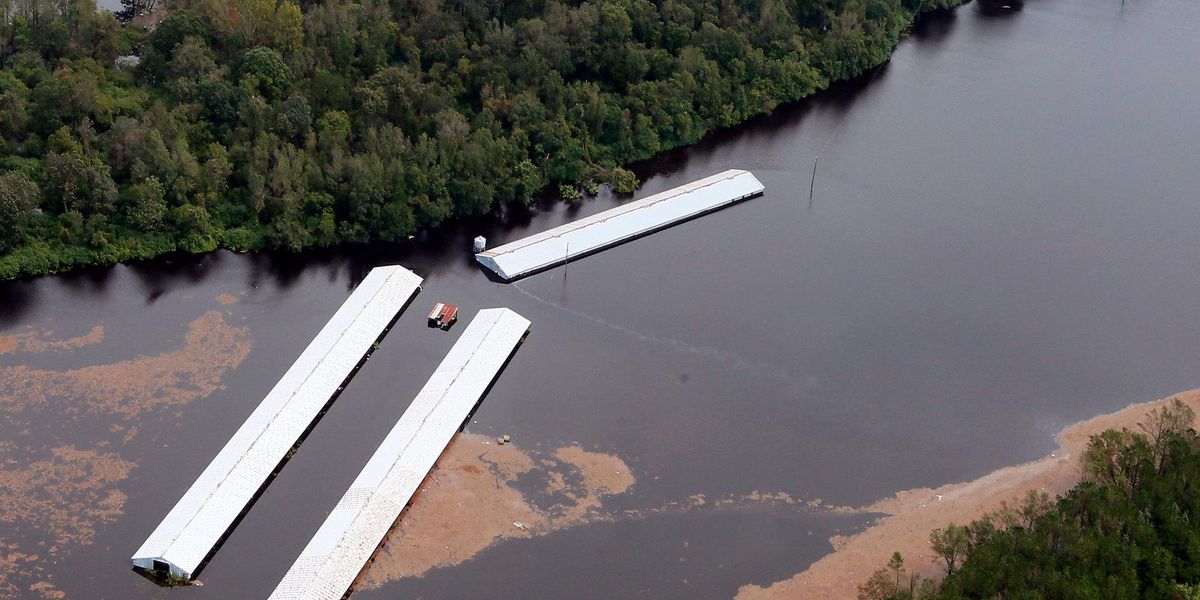 Hurricane season spurs hog waste worries in North Carolina