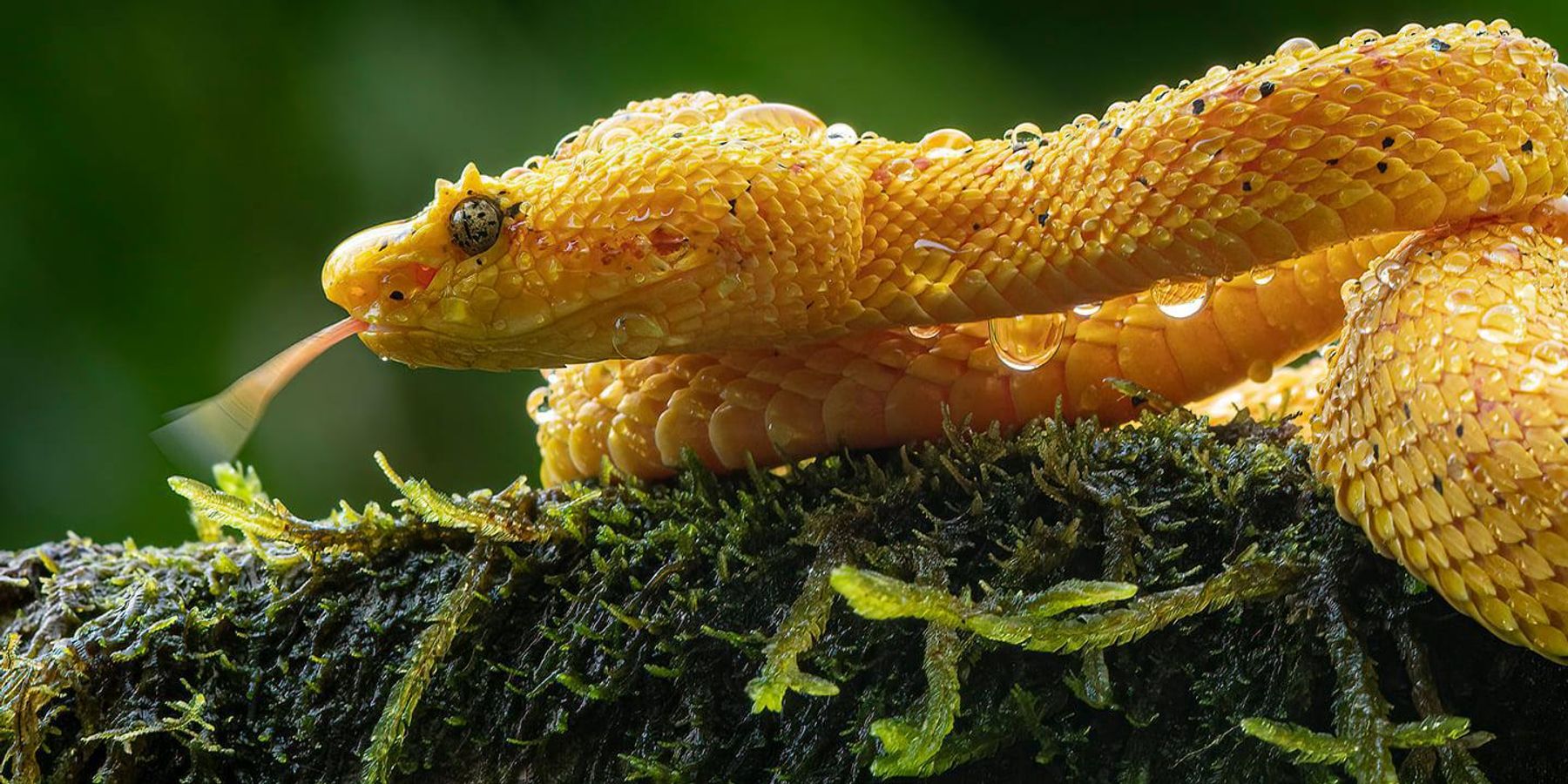 Pete Myers: We saw this coming