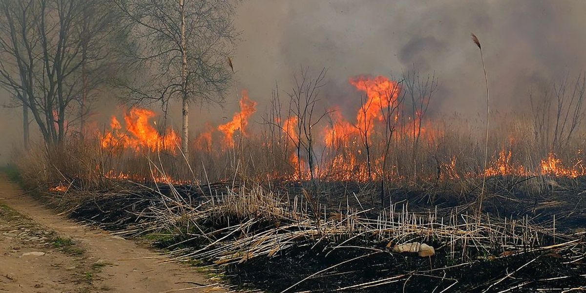 Texas faces increased wildfire threats due to climate change