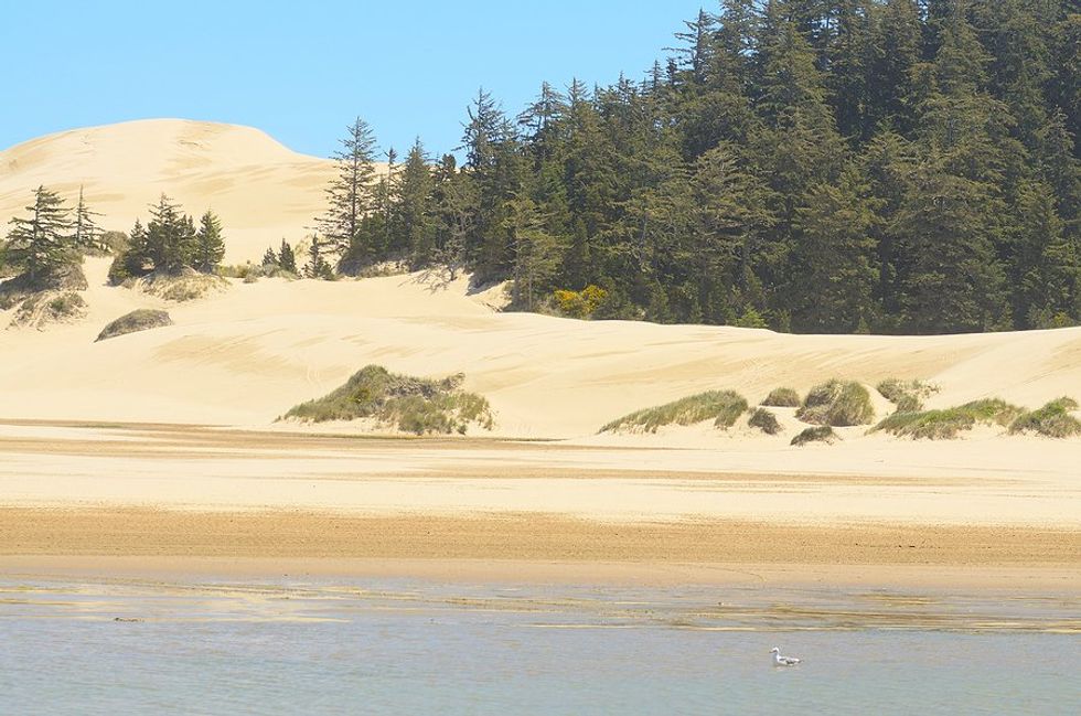 Oregon's coastline's fate linked to 'Dune' landscape