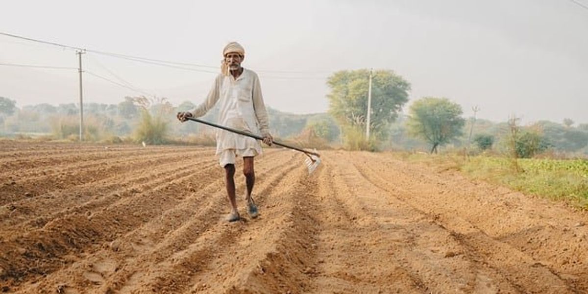 Natural farming's rise in India amid climate change