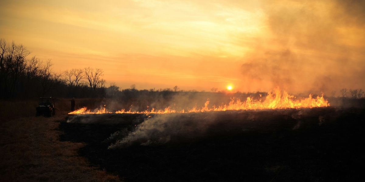 Prescribed burns help halt major wildfire in Texas Panhandle