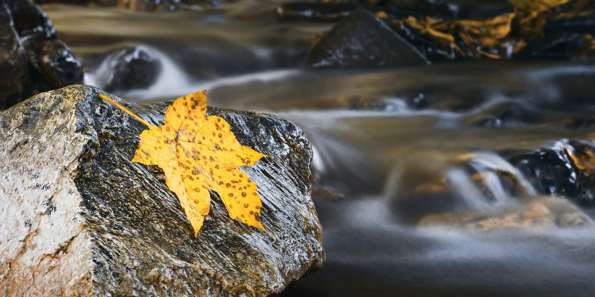 Climate change is shifting the colors of nature around the globe