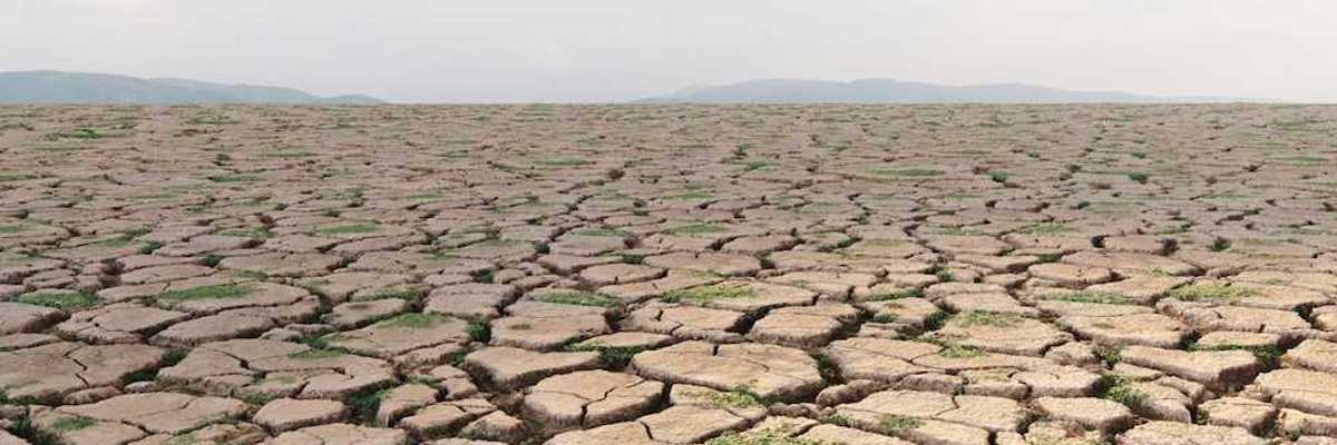 ‘Forcing a reckoning’: How Asia is preparing for a ‘supersized’ El Niño