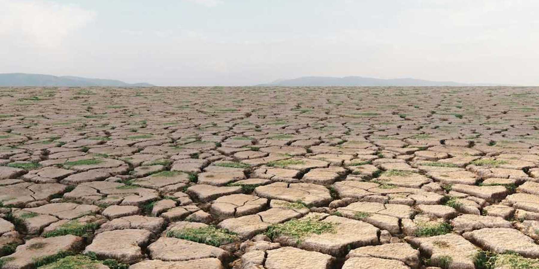 ‘Forcing a reckoning’: How Asia is preparing for a ‘supersized’ El Niño