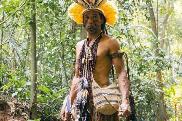 Indigenous Amazonian male in traditional garb