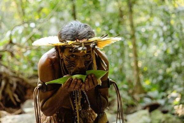 Indigenous Amazonian tribesman sipping water from a leaf