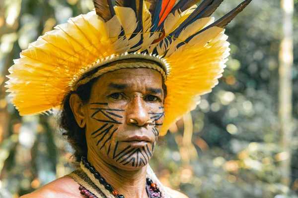 Indigenous Amazonian tribesman wearing yellow feathered headress