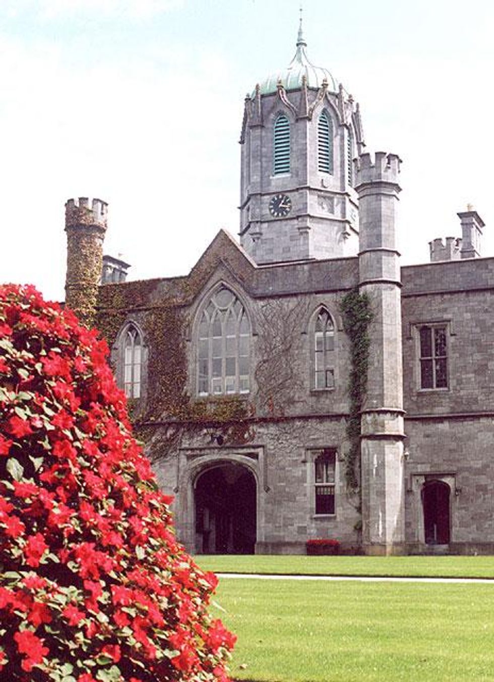 Half of Irish students are worried about climate change, survey shows