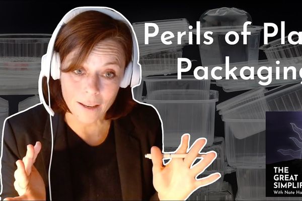 Jane Muncke: "Perils of Plastic Packaging”