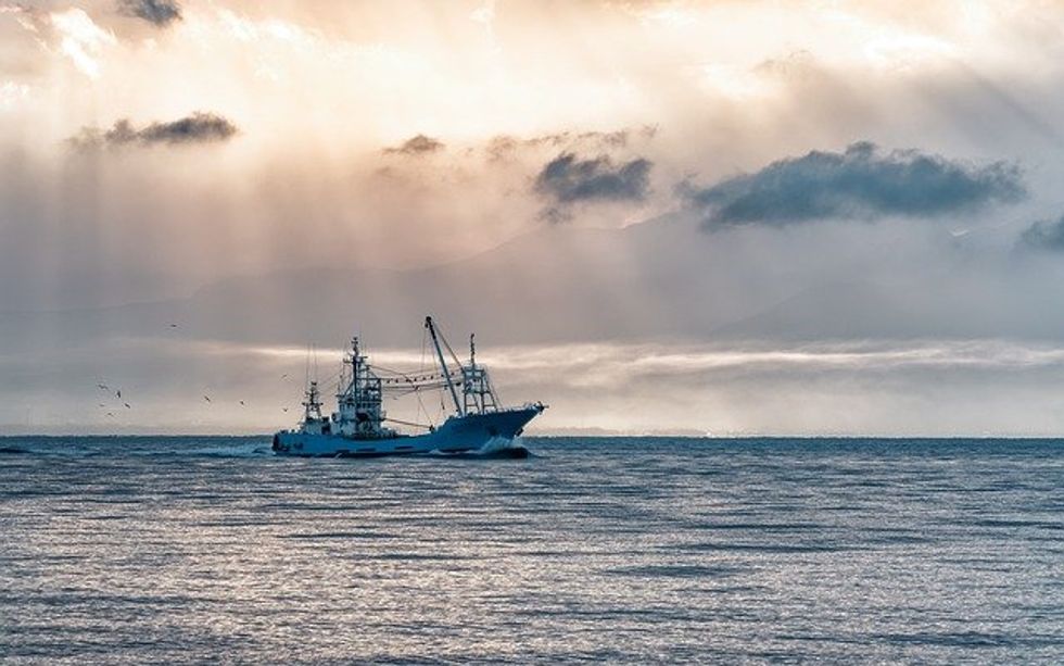 Japan's fish catch in 2022 hit record-low amid global warming