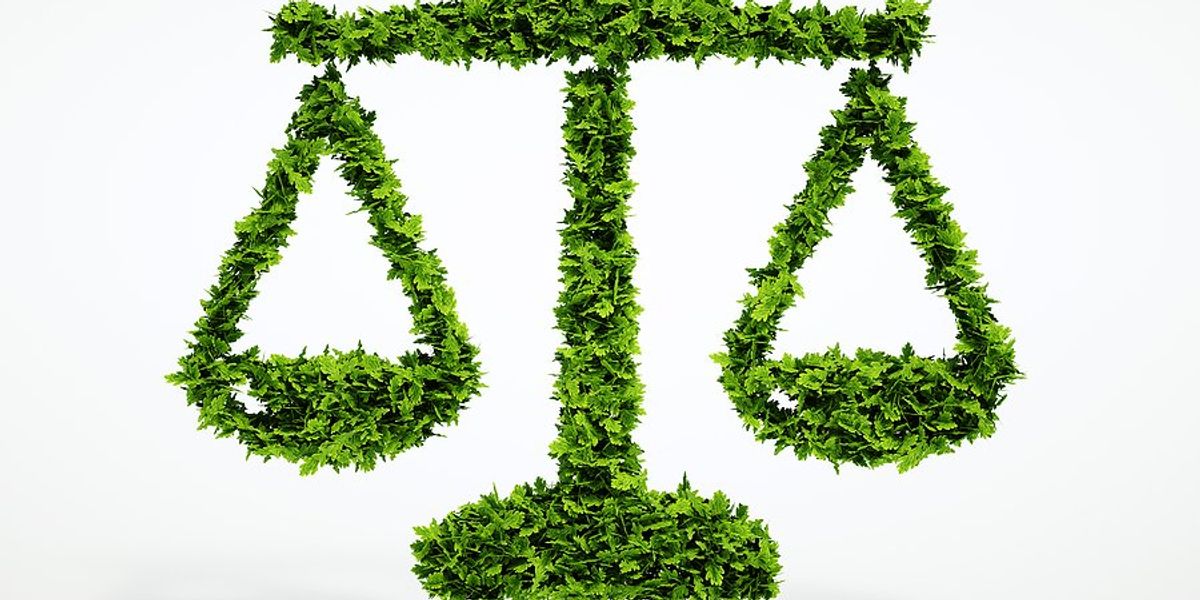 Justice symbol made of leaves