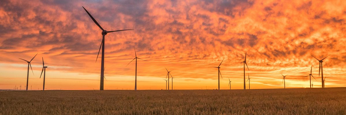 landscape photography of grass field with windmills under orange sunset