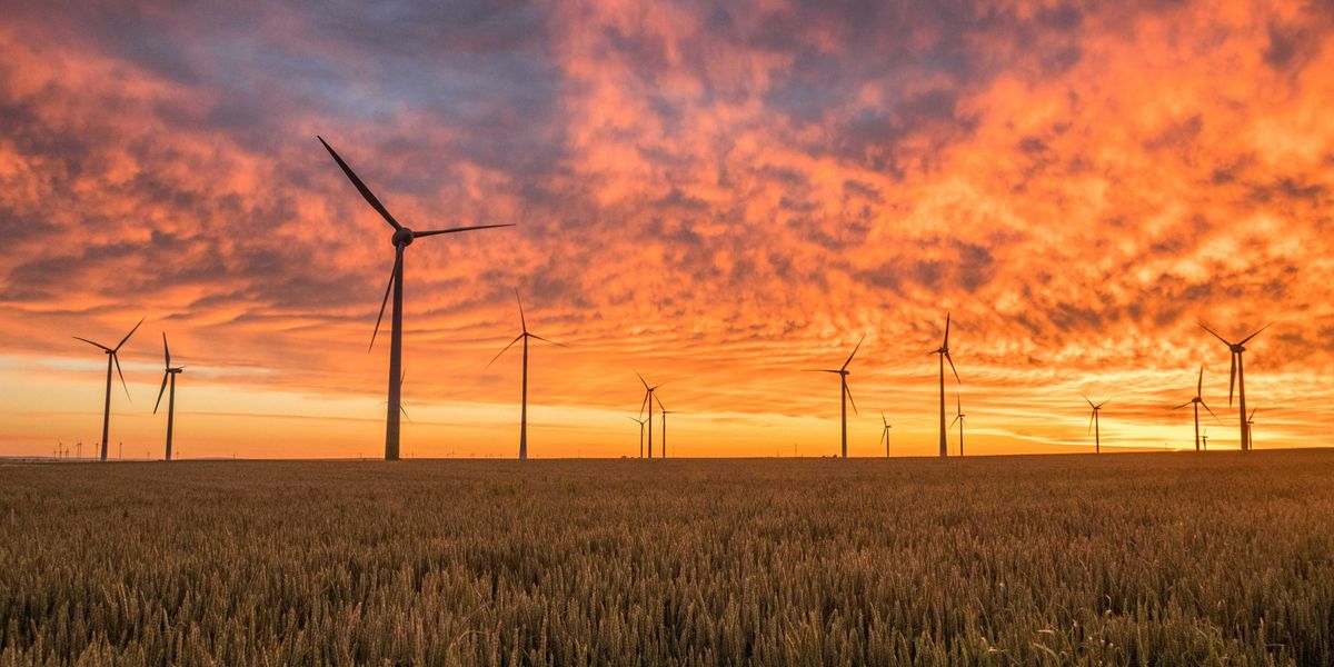 landscape photography of grass field with windmills under orange sunset