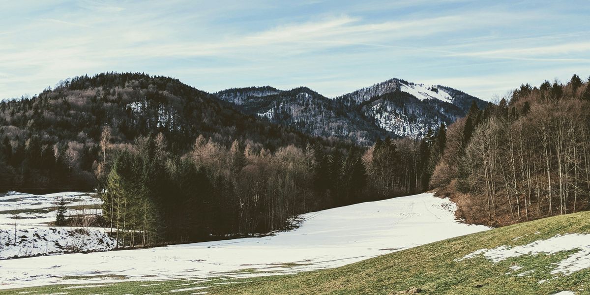 landscape photography of trees and mountains with melting snow in the foreground