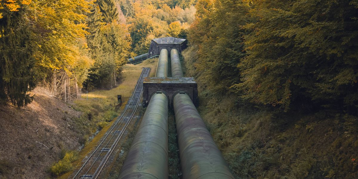 Large pipeline through a green forest.