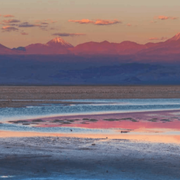 lithium mining toxics chile