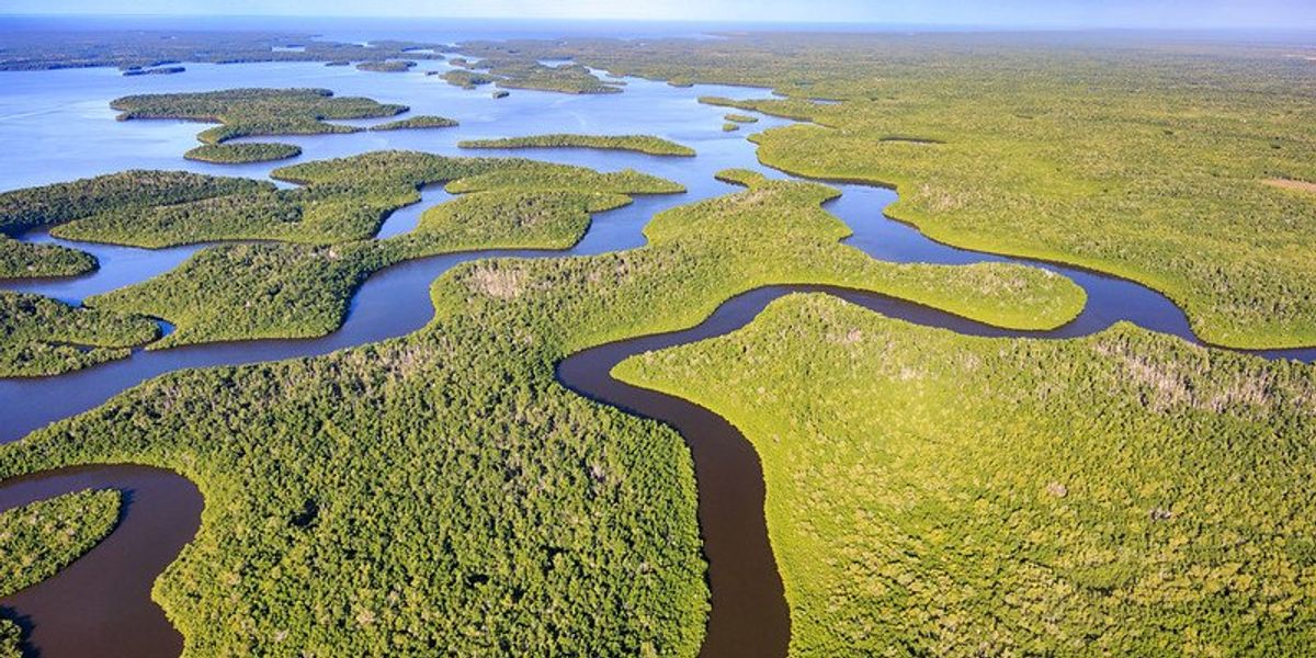 litigation disrupts Everglades alliance in Florida