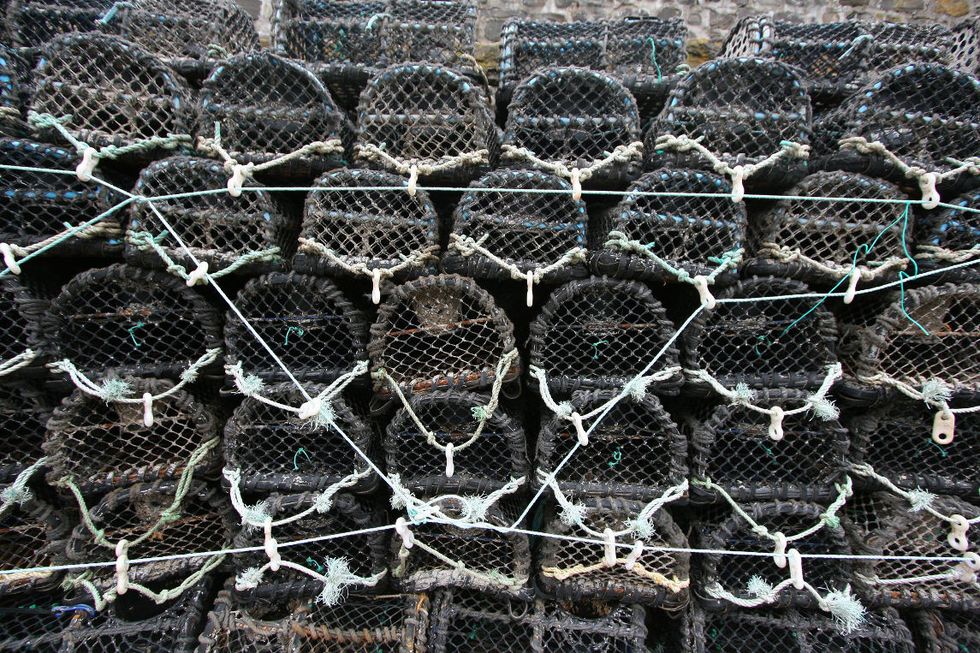 Lobster pots